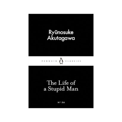 The Life of a Stupid Man
