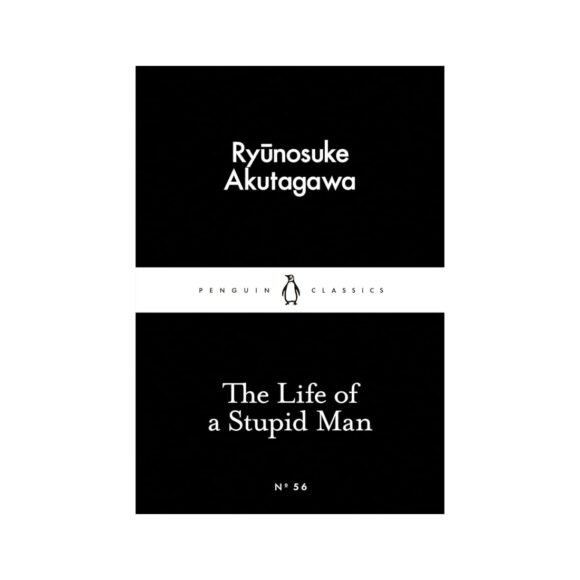 The Life of a Stupid Man